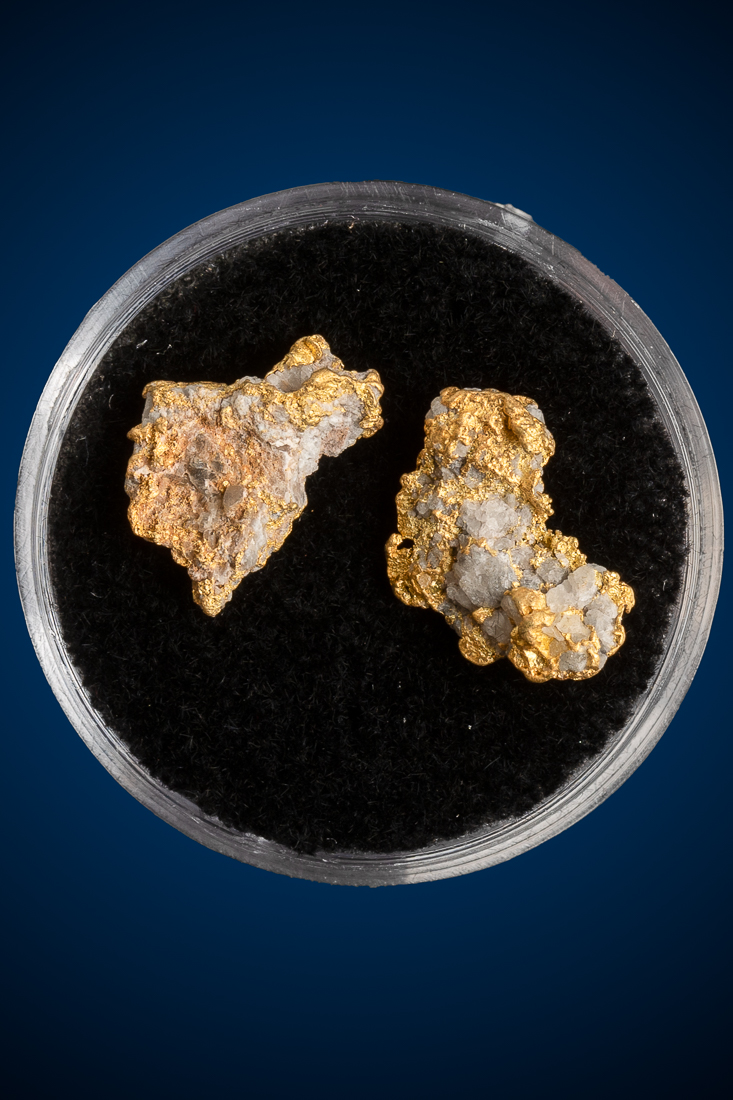 (image for) Two Gold in Quartz Specimens from the Alleghany District, CA - 2.33 grams